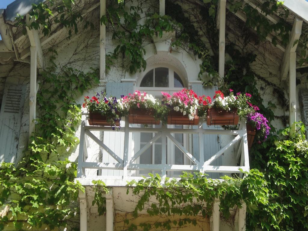 Saint-Rémy-de-Provence Hotel Le Chalet Fleuri מראה חיצוני תמונה